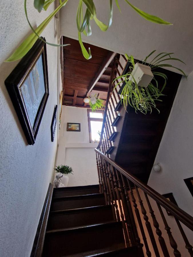 Winzervilla Apartment *